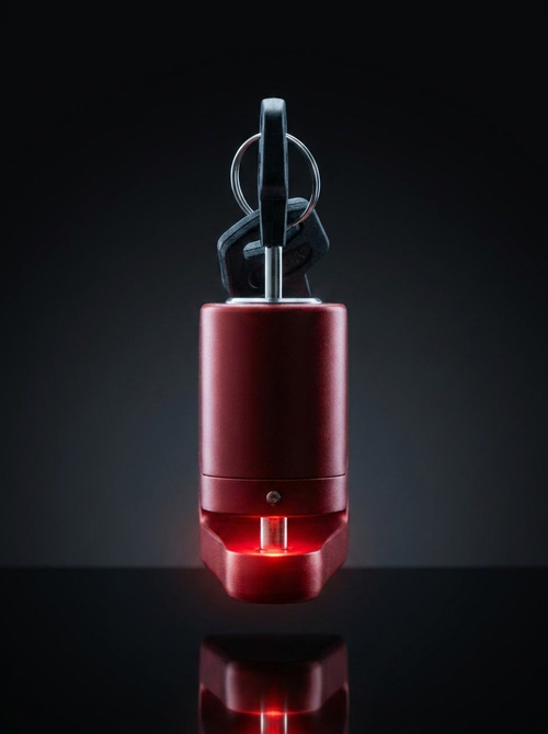 RotorGuard Alarm Disc Lock