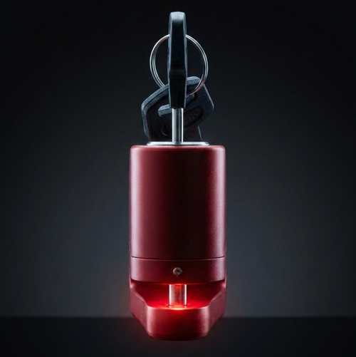 RotorGuard Rotor Lock