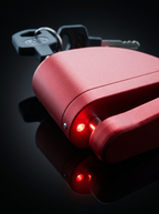 RotorGuard Alarm Disc Lock